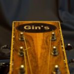 Gin's Guitar